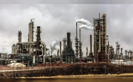 2050'de Yenilenebilir Enerji Fosil Yakıtları Geride Bırakabilir