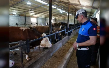 Kurbanlık Pazarları Mercek Altında: Düzce'de Bayram Öncesi Yoğun Denetim Başladı