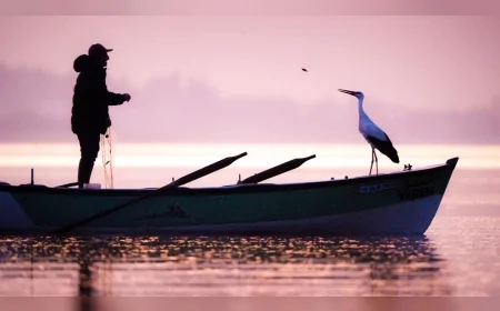 Leylekler Bursa'da Festivalle Karşılanıyor: Eskikaraağaç'ta Unutulmaz Şenlik Başlıyor