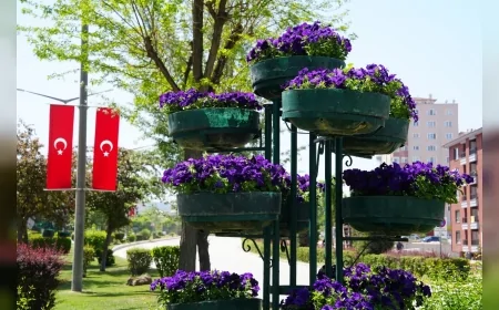 Eskişehir’in refüjleri rengârenk çiçeklerle donatıldı, vatandaşlar memnuniyetle karşıladı