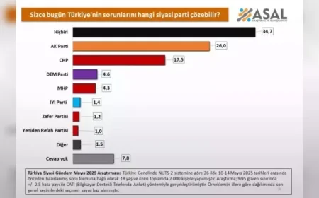 Türkiye'nin sorunlarını çözecek parti soruldu, ilk sırada 'hiçbiri' cevabı çıktı