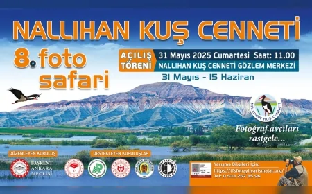 Fotoğraf Tutkunları Dikkat: Nallıhan’da 124 Bin TL Ödüllü Doğa Safari Başlıyor
