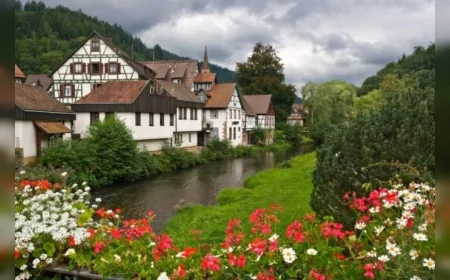 Almanya’da yazlık bahçeler hayal edildiği gibi özgür değil: Kurallara uymayanlar ağır cezalarla karşılaşıyor
