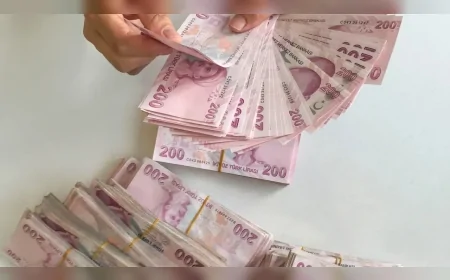 Doğum yapan annelere müjde: 163 binden fazla haneye toplu ödeme yapıldı