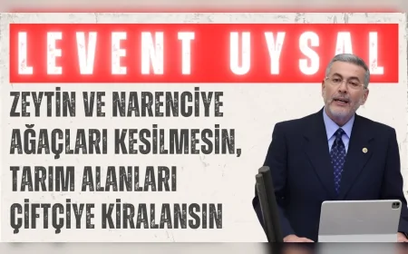 MHP Mersin Milletvekili Levent Uysal: 'Zeytin ve narenciye ağaçları kesilmesin, tarım alanları çiftçiye kiralansın'