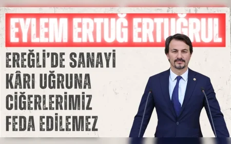 CHP Zonguldak Milletvekili Eylem Ertuğ Ertuğrul: 'Ereğli’de sanayi kârı uğruna ciğerlerimiz feda edilemez'
