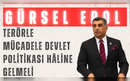 CHP Elazığ Milletvekili Gürsel Erol: 'Terörle mücadele devlet politikası hâline gelmeli'