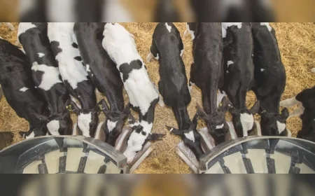 Kırsalda Hayvancılığa Dev Destek: Asil ve Yedek Listeler Açıklandı, Süreç Başladı