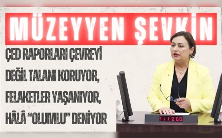 CHP’li Müzeyyen Şevkin: ‘ÇED raporları çevreyi değil talanı koruyor, felaketler yaşanıyor, hâlâ “olumlu” deniyor’