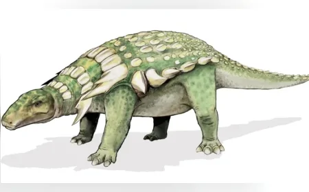 Kanada'da Ortaya Çıkan 100 Milyon Yıllık Fosil, Zırhlı Dinozorların Gizemli Yaşamına Işık Tuttu