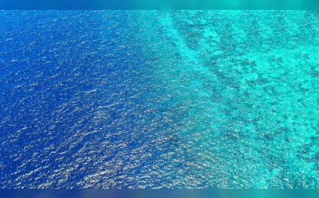 Bilim insanları uyardı: Okyanusların rengindeki gizemli koyulaşma dünya ekosistemini tehdit ediyor