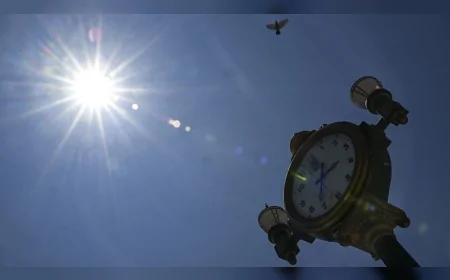 Mart Ayı Küresel Isınmada Sınırları Zorluyor: Tarihin En Yüksek Değerleri Kayıt Altına Alındı