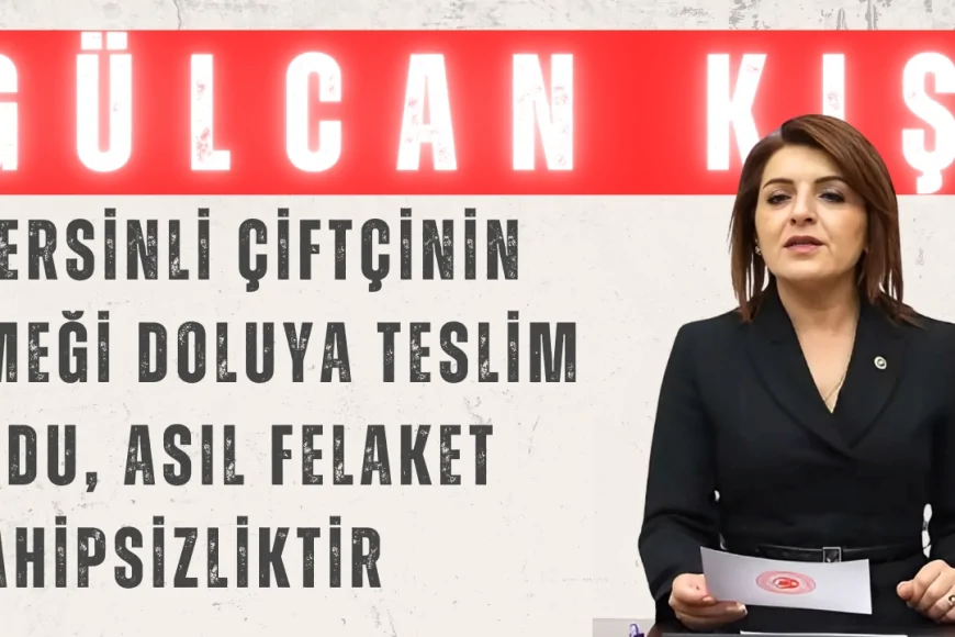 Gülcan Kış: 'Mersinli çiftçinin emeği doluya teslim oldu, asıl felaket sahipsizliktir'