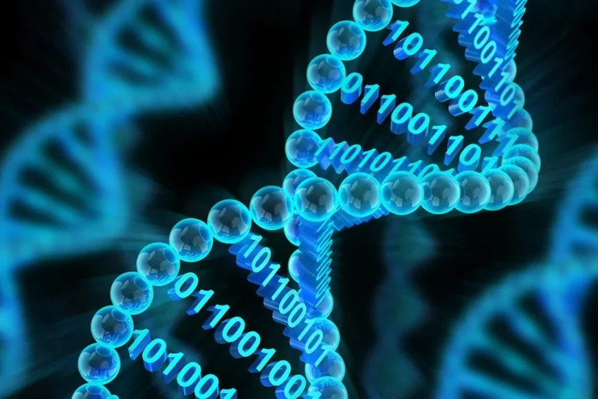 Milyonlarca Yıllık Dayanıklılık Vadeden DNA Depolama Teknolojisi Ticarileşiyor