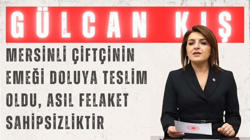Gülcan Kış: 'Mersinli çiftçinin emeği doluya teslim oldu, asıl felaket sahipsizliktir'