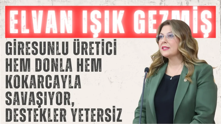 Elvan Işık Gezmiş: 'Giresunlu üretici hem donla hem kokarcayla savaşıyor, destekler yetersiz'