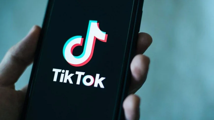 TikTok'a Avrupa'dan casusluk cezası: 530 milyon euroluk rekor yaptırım