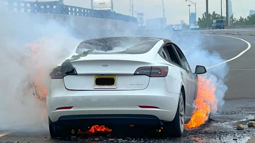 ABD’de Elektrikli Araç Kullanıcılarının Gözünde Tesla’nın İmajı Dibe Vurdu