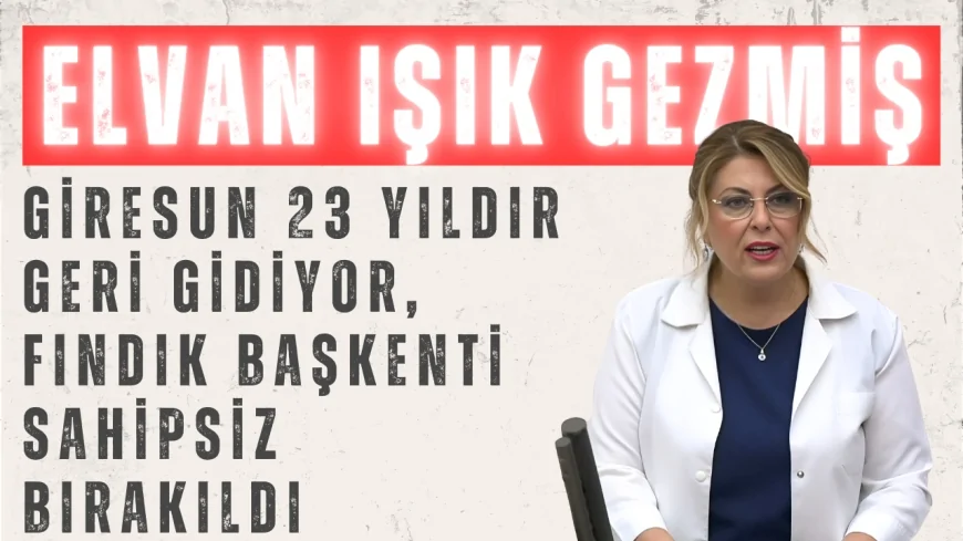 CHP’li Elvan Işık Gezmiş: ‘Giresun 23 Yıldır Geri Gidiyor, Fındık Başkenti Sahipsiz Bırakıldı’
