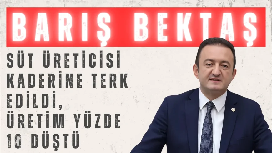 CHP’li Barış Bektaş: ‘Süt Üreticisi Kaderine Terk Edildi, Üretim Yüzde 10 Düştü’