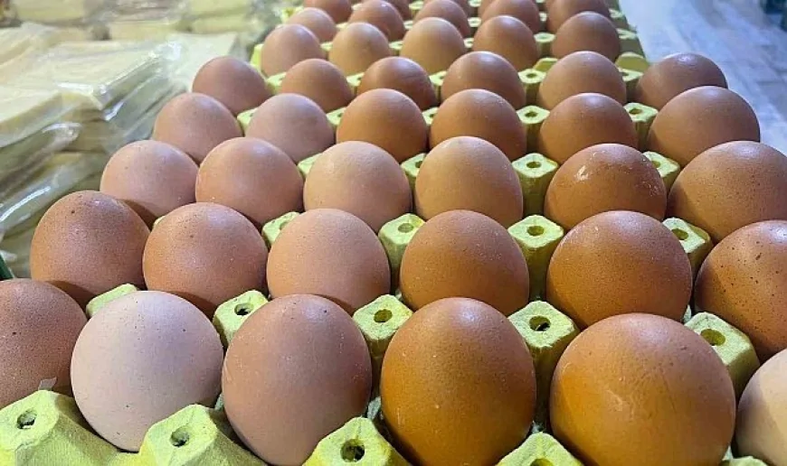 Et, Süt, Yumurta Artık Ayda Bir Alınabiliyor: Gıda Enflasyonu Sofraları Boş Bırakıyor