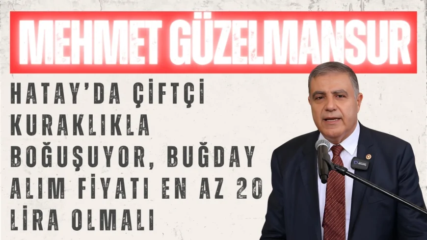 CHP'li Mehmet Güzelmansur: 'Hatay’da Çiftçi Kuraklıkla Boğuşuyor, Buğday Alım Fiyatı En Az 20 Lira Olmalı'