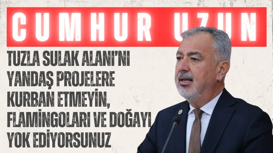 CHP’li Cumhur Uzun: ‘Tuzla Sulak Alanı’nı yandaş projelere kurban etmeyin, flamingoları ve doğayı yok ediyorsunuz’