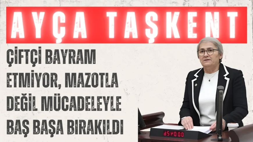 CHP’li Ayça Taşkent: 'Çiftçi bayram etmiyor, mazotla değil mücadeleyle baş başa bırakıldı'