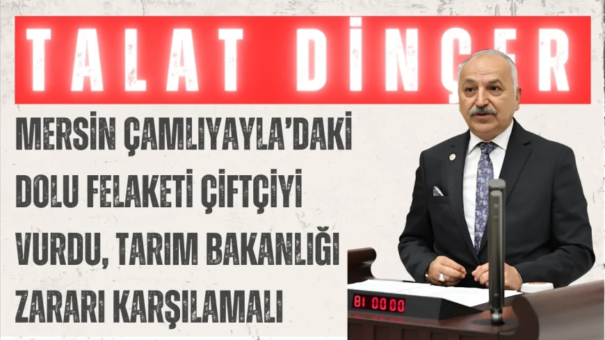 CHP’li Talat Dinçer: 'Mersin Çamlıyayla’daki dolu felaketi çiftçiyi vurdu, Tarım Bakanlığı zararı karşılamalı'
