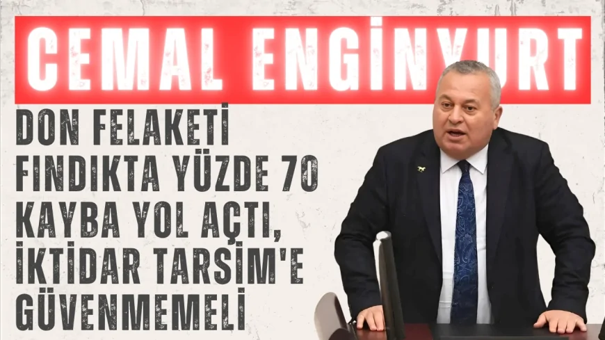 Cemal Enginyurt: 'Don felaketi fındıkta yüzde 70 kayba yol açtı, iktidar TARSİM'e güvenmemeli'