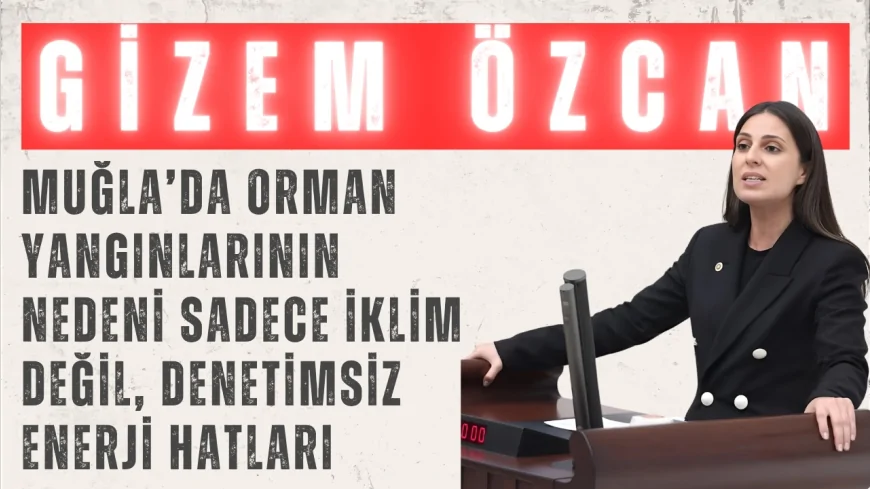 CHP’li Gizem Özcan: 'Muğla’da orman yangınlarının nedeni sadece iklim değil, denetimsiz enerji hatları'