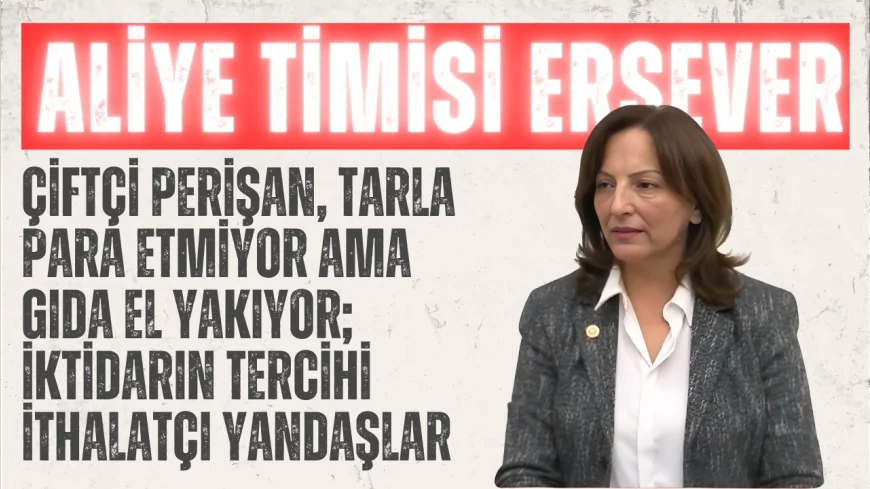 Aliye Timisi Ersever: ‘Çiftçi perişan, tarla para etmiyor ama gıda el yakıyor; iktidarın tercihi ithalatçı yandaşlar’