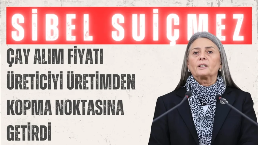 CHP Trabzon Milletvekili Sibel Suiçmez: 'Çay alım fiyatı üreticiyi üretimden kopma noktasına getirdi'