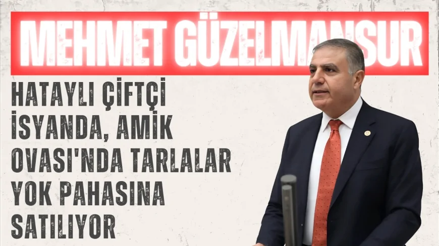 CHP’li Mehmet Güzelmansur: 'Hataylı çiftçi isyanda, Amik Ovası'nda tarlalar yok pahasına satılıyor'