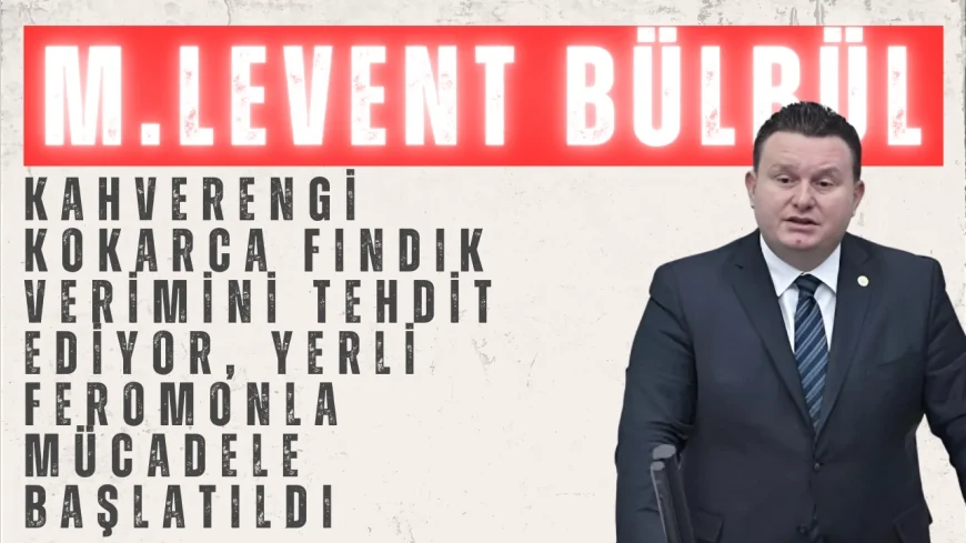 Muhammed Levent Bülbül: 'Kahverengi kokarca fındık verimini tehdit ediyor, yerli feromonla mücadele başlatıldı'