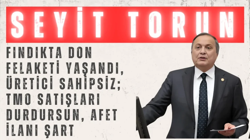 Seyit Torun: ‘Fındıkta don felaketi yaşandı, üretici sahipsiz; TMO satışları durdursun, afet ilanı şart’