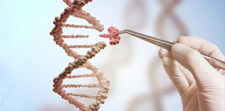 Kişiye Özel CRISPR Tedavisiyle İlk Kez Bir Bebek Genetik Hastalıktan Kurtarıldı