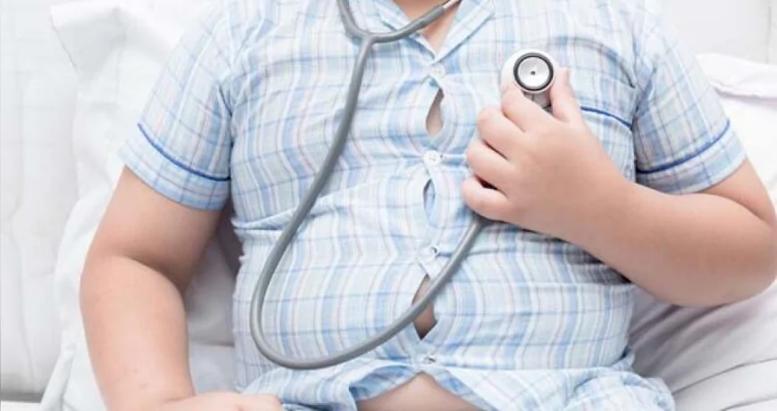 Türkiye Avrupa'nın En Obez Ülkesi: Kalp ve Böbrek Sağlığı İçin Alarm Verildi
