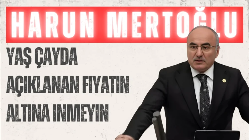 AK Partili Harun Mertoğlu’ndan özel sektöre çağrı: ‘Yaş çayda açıklanan fiyatın altına inmeyin’