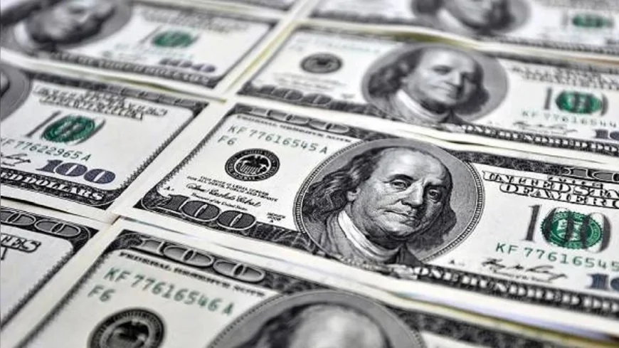 Türkiye'nin yurt dışı varlıkları arttı, yatırım pozisyonu eksi 270 milyar dolara geriledi