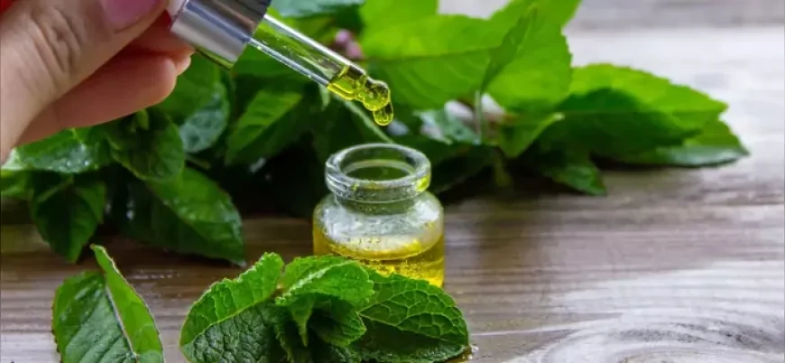 Baş ağrısına birebir olan bu doğal yağ, birkaç damlasıyla etkisini gösteriyor