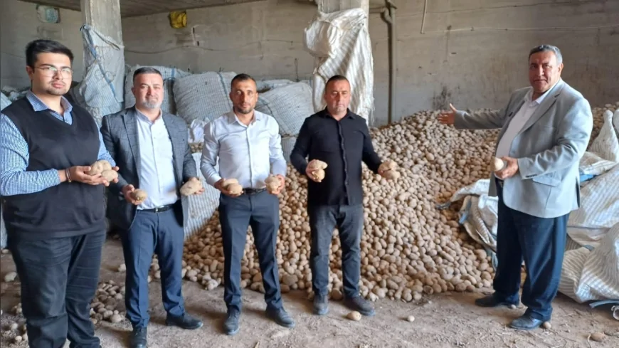CHP'li Gürer: 'Kilosu 1 liraya satılamayan patates, markette 40 lira'