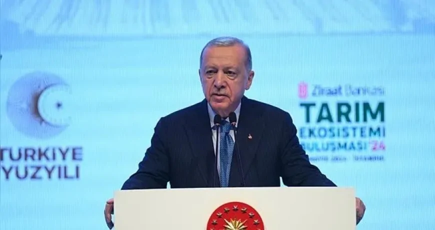 Erdoğan'dan Reel Sektöre Yeni Kredi Hamlesi: 'Bu Adımı Atmaya Mecburuz'
