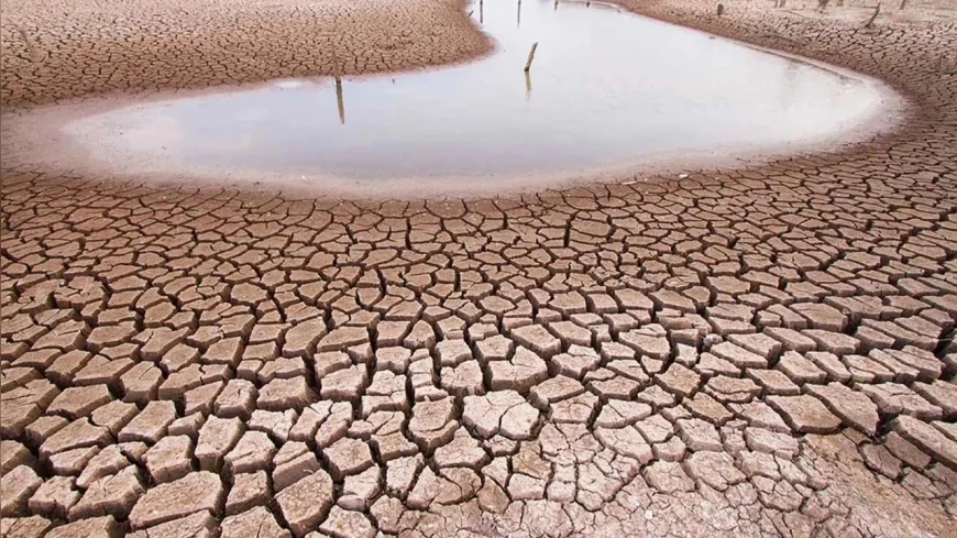 Güneydoğu’da Son 20 Yılın En Kurak İlkbaharı: Meteoroloji Kuraklık Alarmı Verdi
