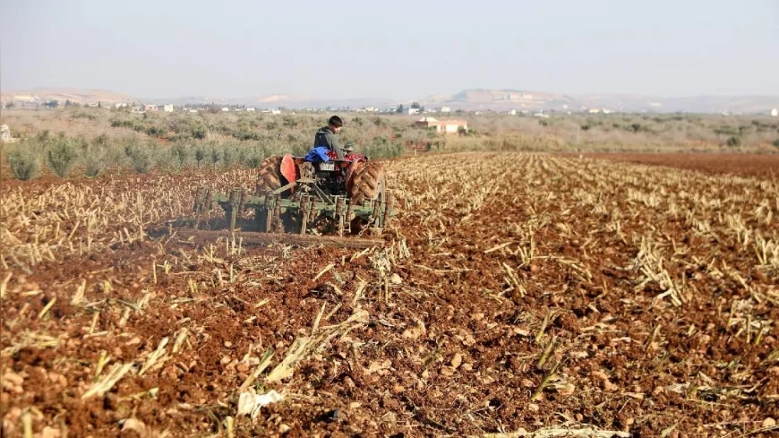 Çiftçiye 5 Milyar Liralık Dev Ödeme Başladı: Destekler Bu Akşam Hesaplara Yatıyor