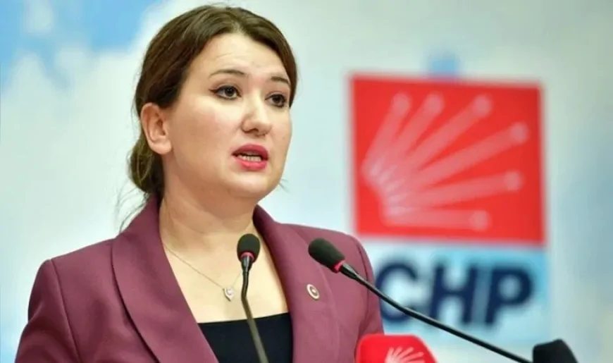 CHP'li Gökçe Gökçen'den Ahmet Özer Davasına Sert Tepki: 'Siyasetçileri Rehin Alarak Barış Kurulmaz'