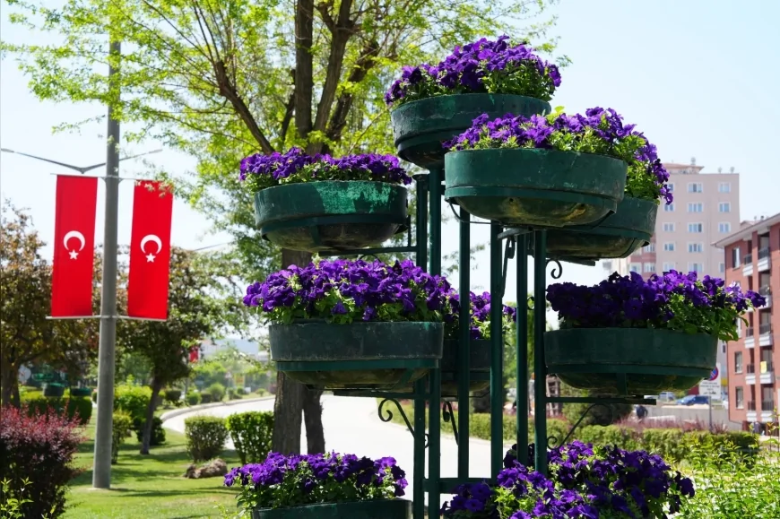 Eskişehir’in refüjleri rengârenk çiçeklerle donatıldı, vatandaşlar memnuniyetle karşıladı