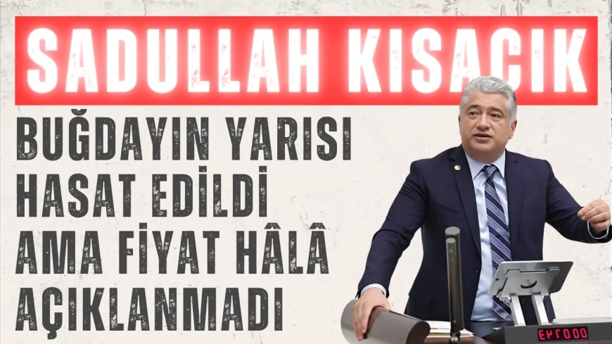 DEVA Partili Sadullah Kısacık: 'Buğdayın yarısı hasat edildi ama fiyat hâlâ açıklanmadı'