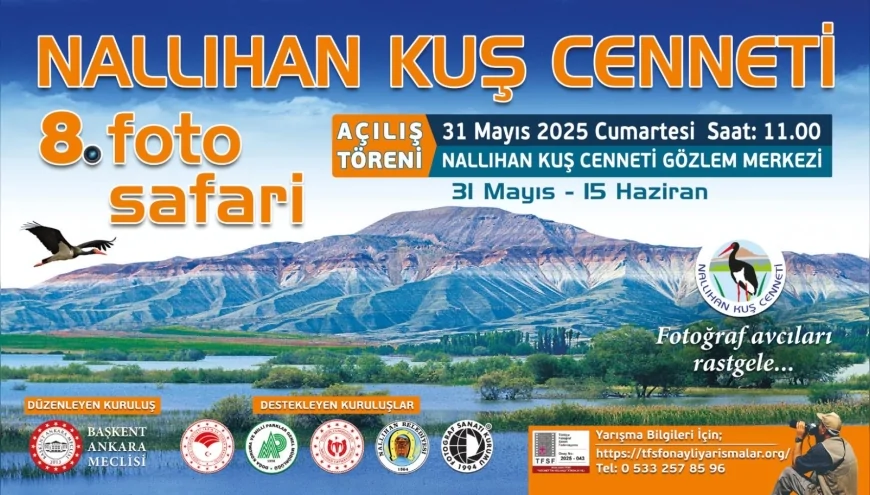 Fotoğraf Tutkunları Dikkat: Nallıhan’da 124 Bin TL Ödüllü Doğa Safari Başlıyor