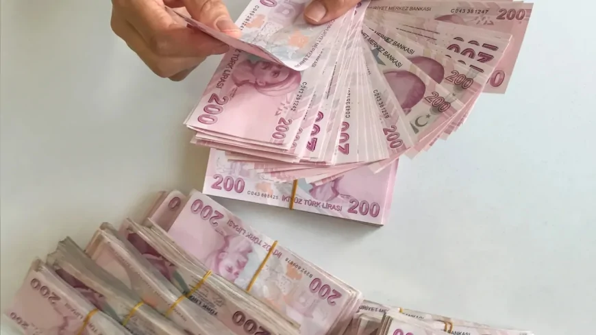 Doğum yapan annelere müjde: 163 binden fazla haneye toplu ödeme yapıldı